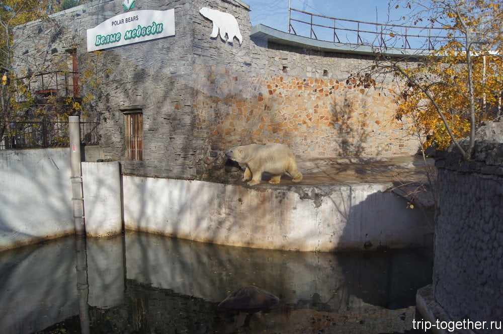 Вольер белого медведя в Ленинградском зоопарке