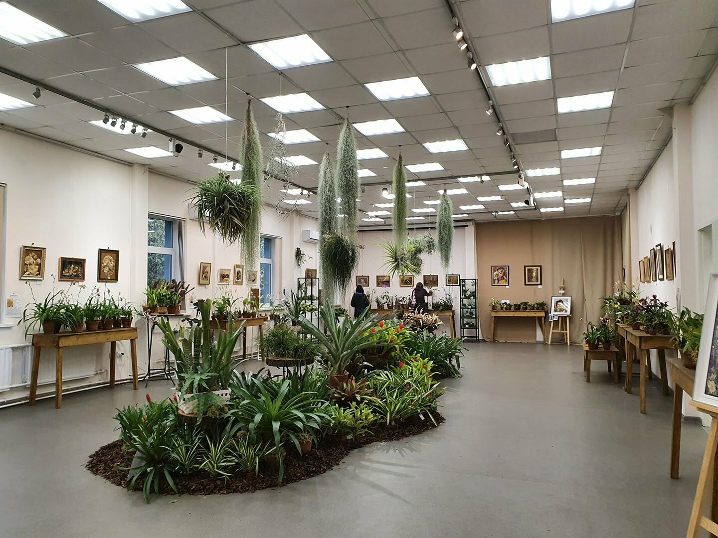 Выставка орхидей и бромелий в 2020 году на осенних каникулах