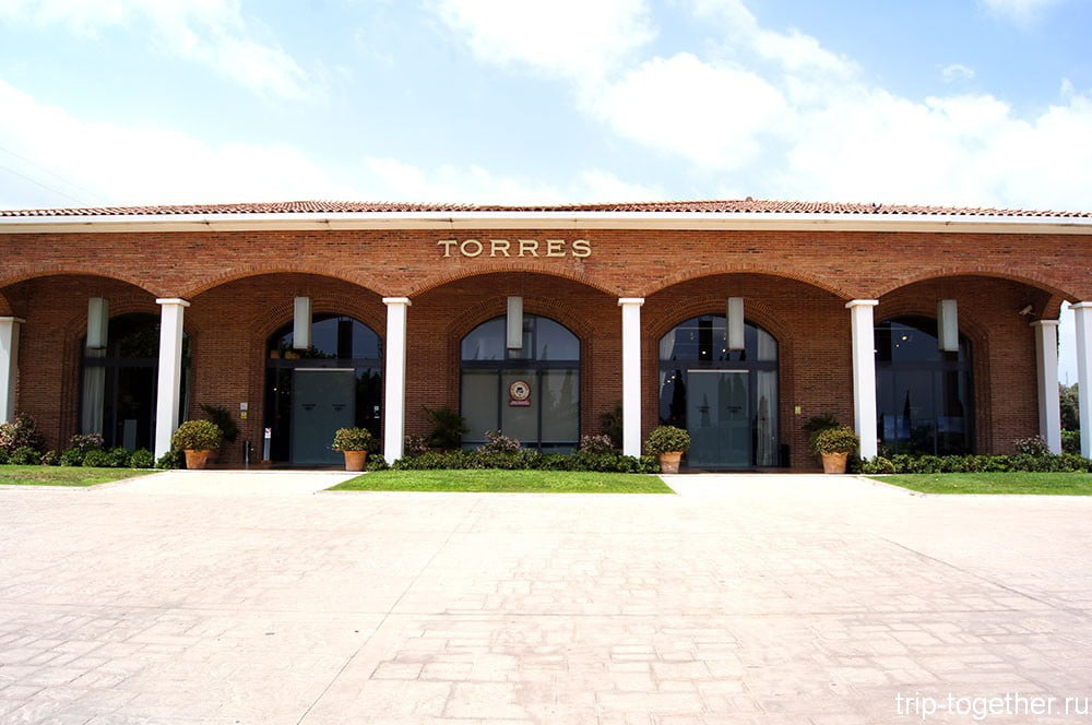 Винный завод Torres в Каталонии