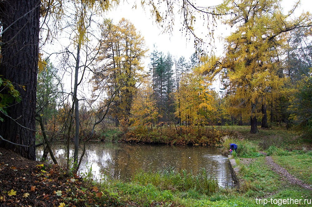 Плотина в парке Приютино