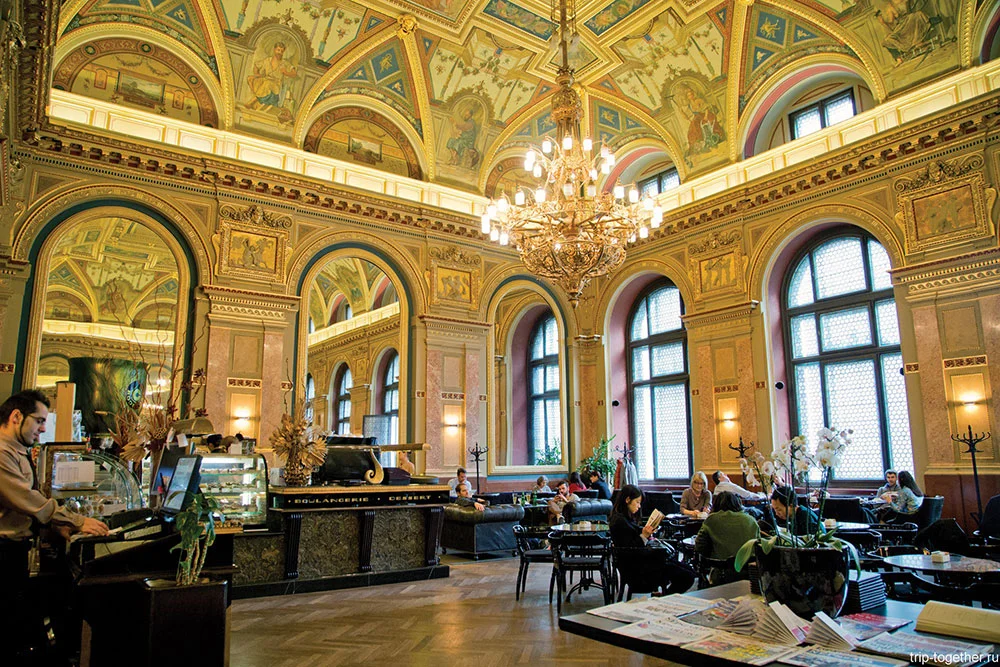 Кафе внутри здания бывшего Парижского универмага