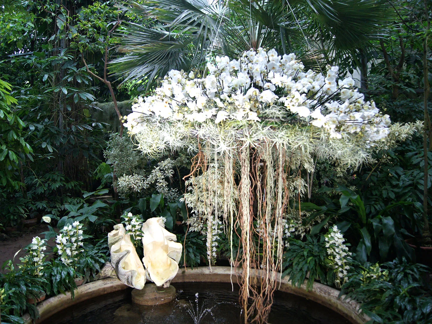 Ботанический сад Петербурга, цветущие орхидеи