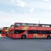 Автобус Сity Sightseen в Санкт-Петербурге