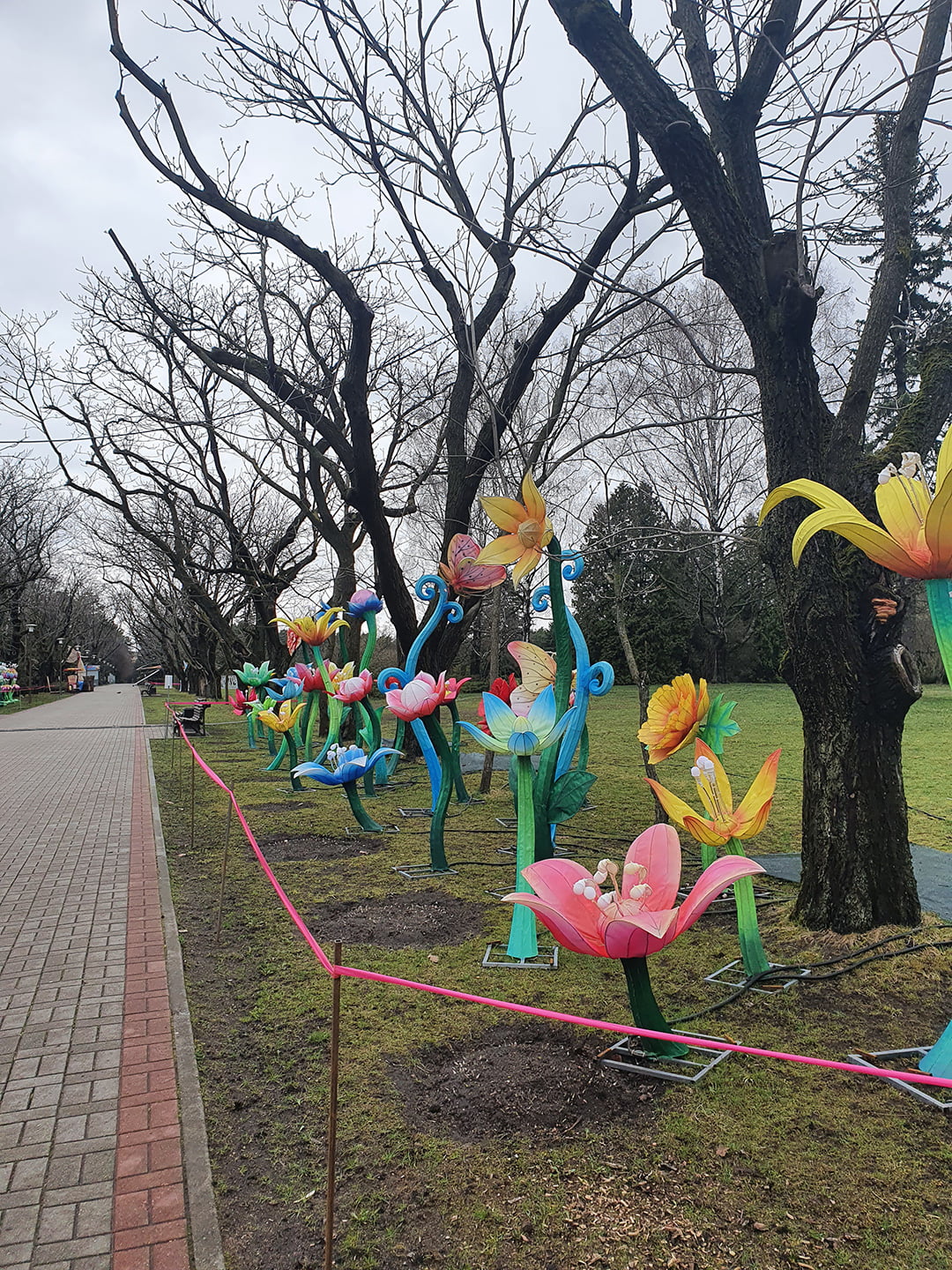 Фестиваль световых фигур в Минском Ботаническом саду