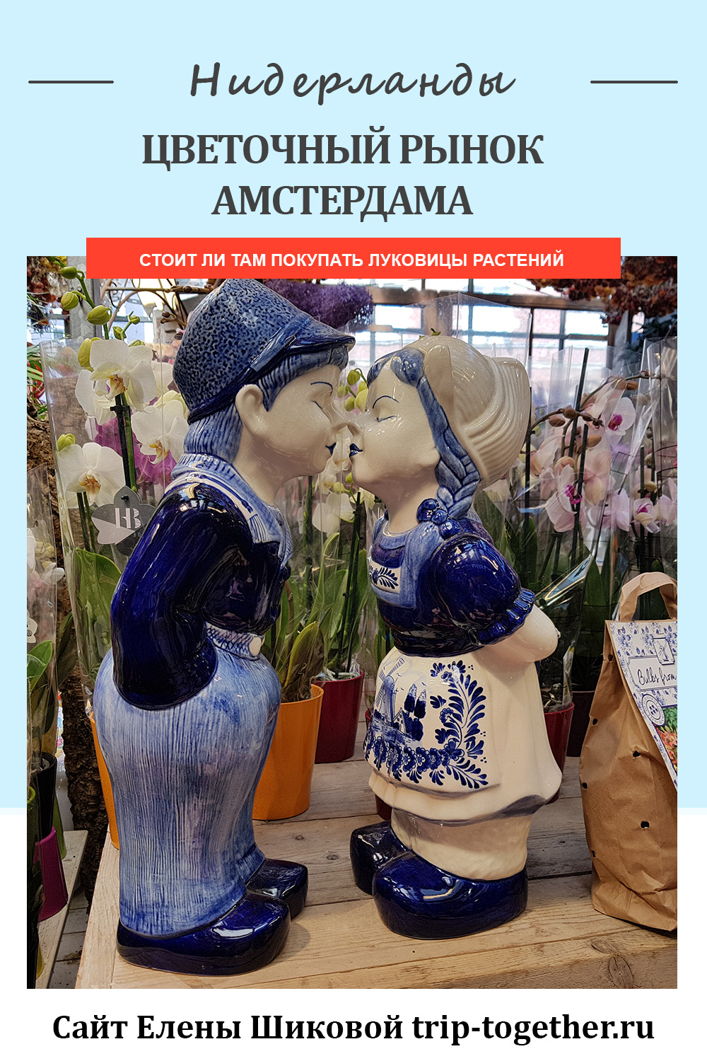 Цветочный рынок Амстердама