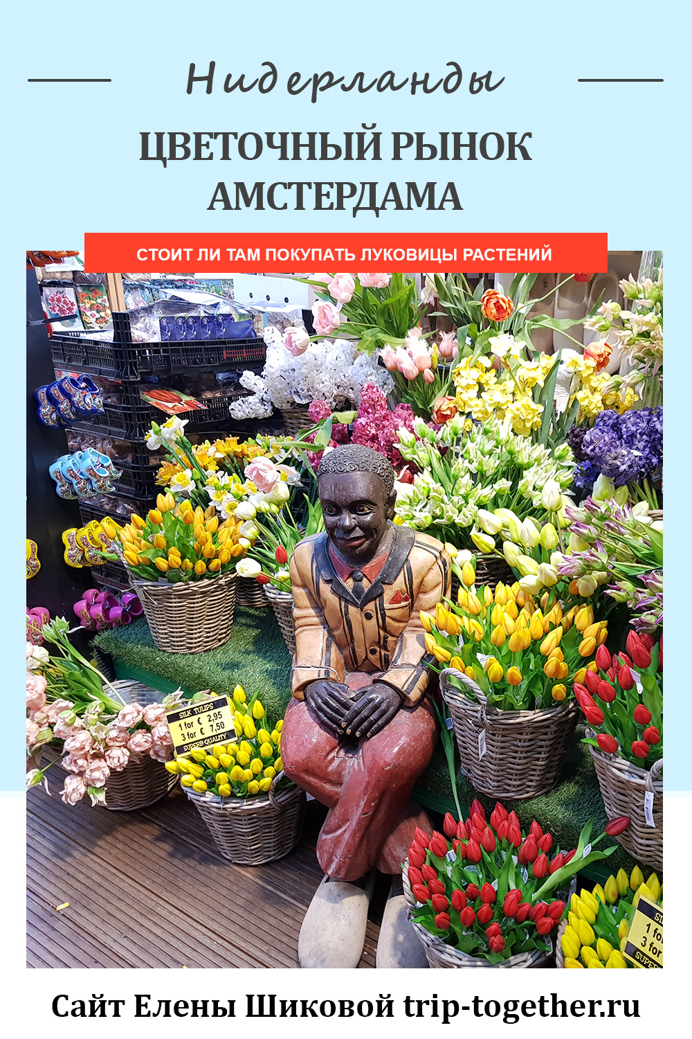 Цветочный рынок Амстердама, стоит ли покупать там